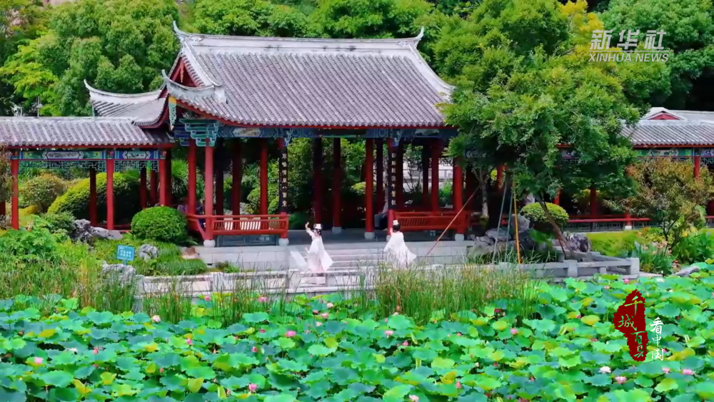 千城百县看中国｜福州鼓楼：夏至西湖 荷影翩跹
