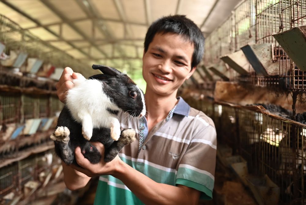 为有源头活水来——习近平同志在闽金融论述与实践启示