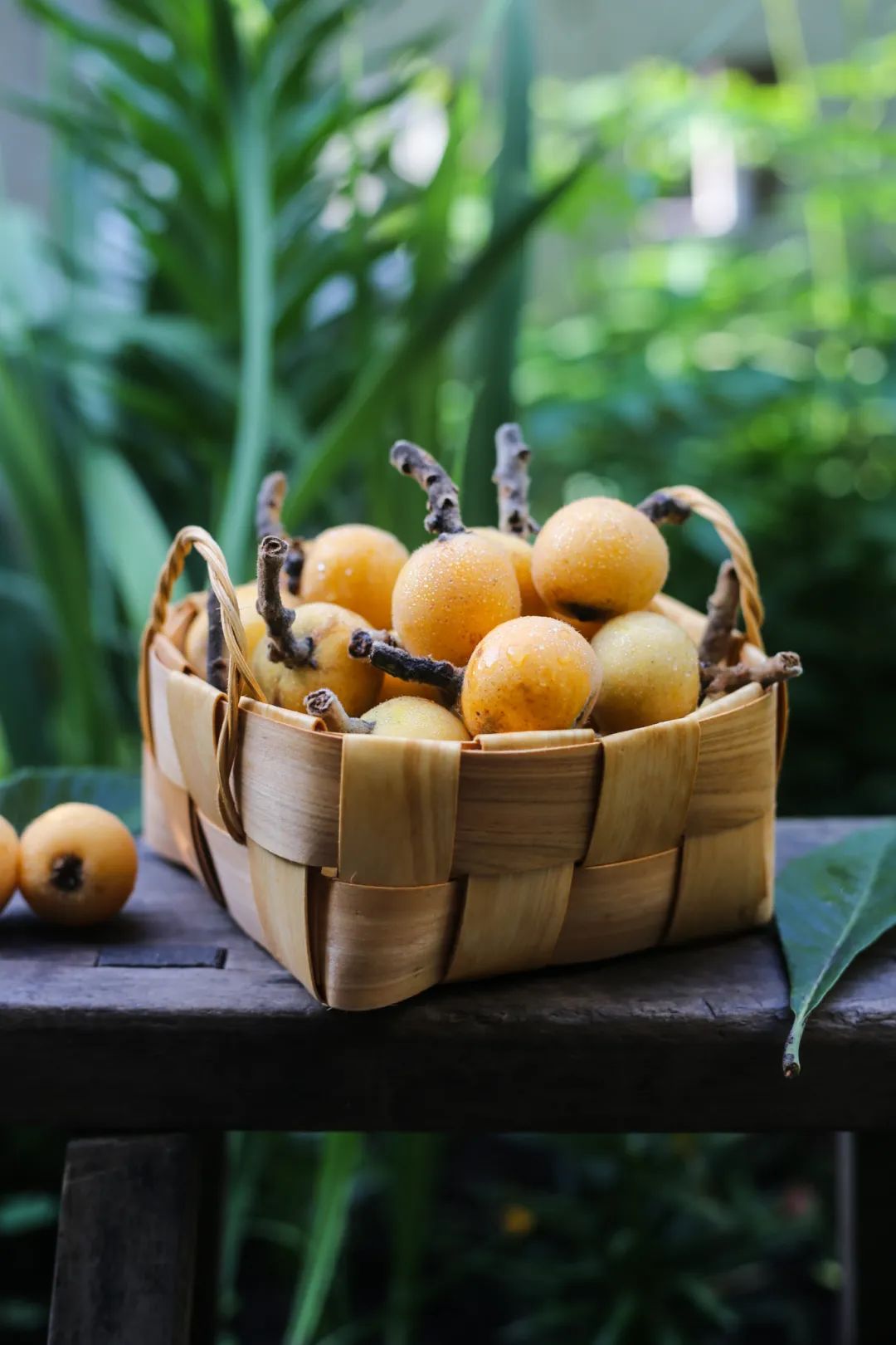 福州，荔枝自由！