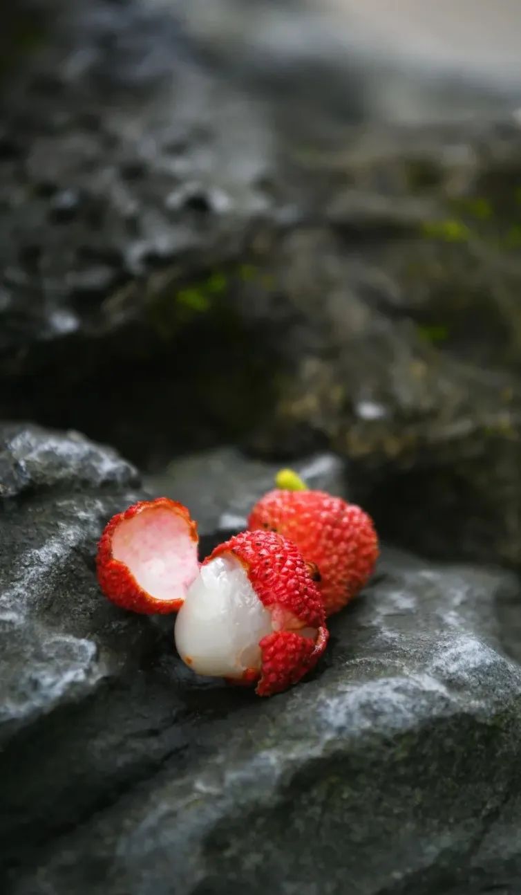 福州，荔枝自由！