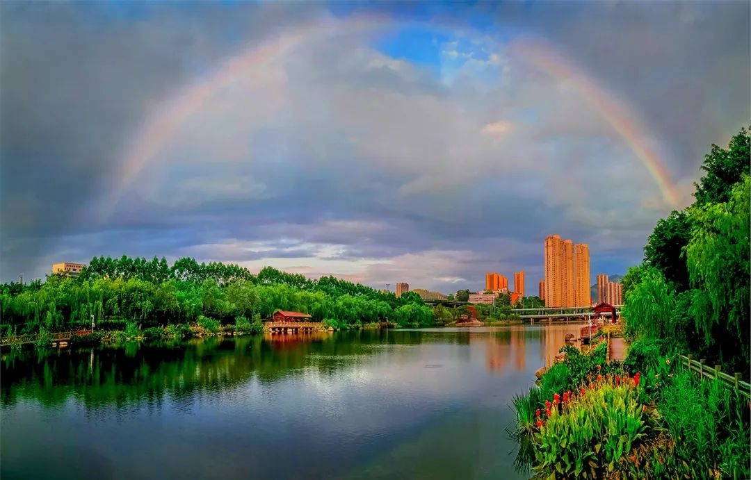 夏至 | 蝉鸣半夏，万物向阳而生