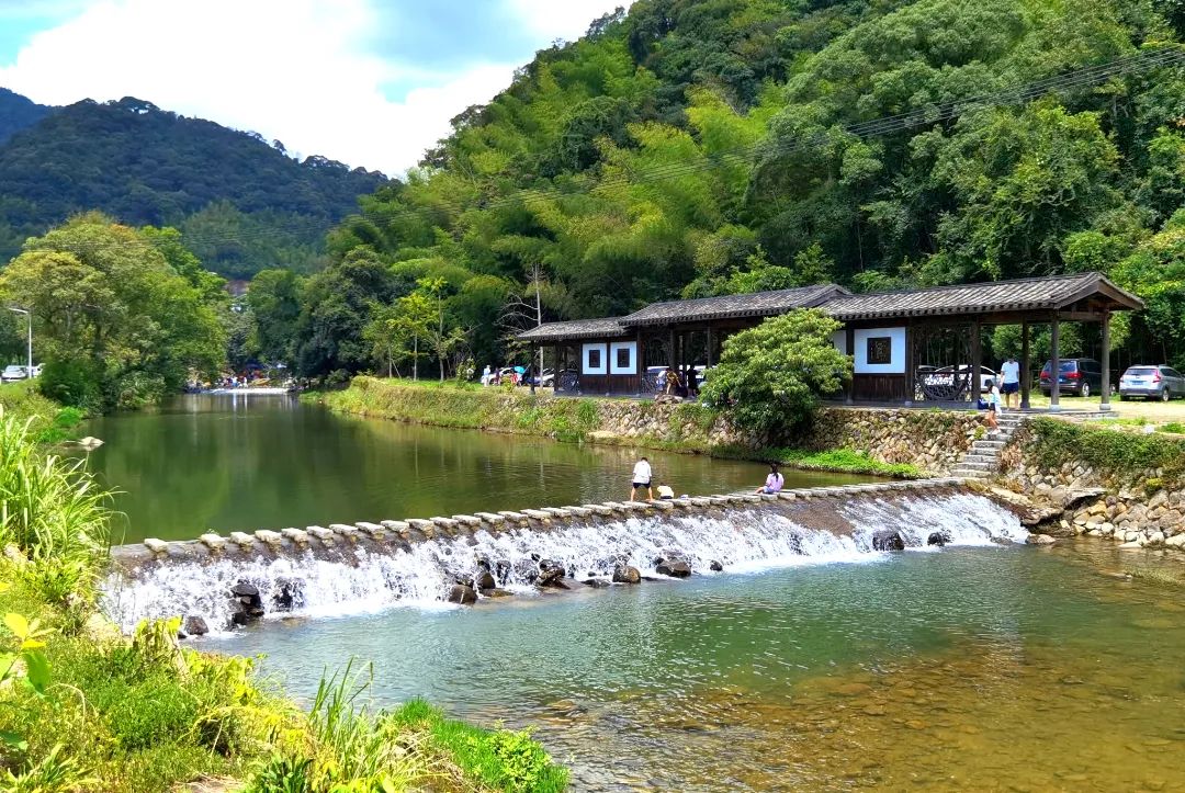 夏至 | 蝉鸣半夏，万物向阳而生