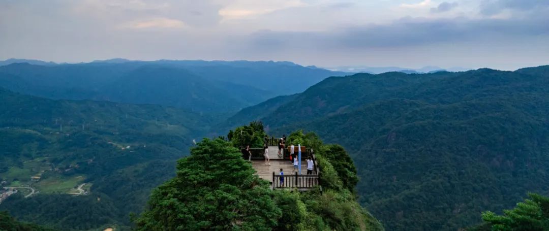 夏至 | 蝉鸣半夏，万物向阳而生