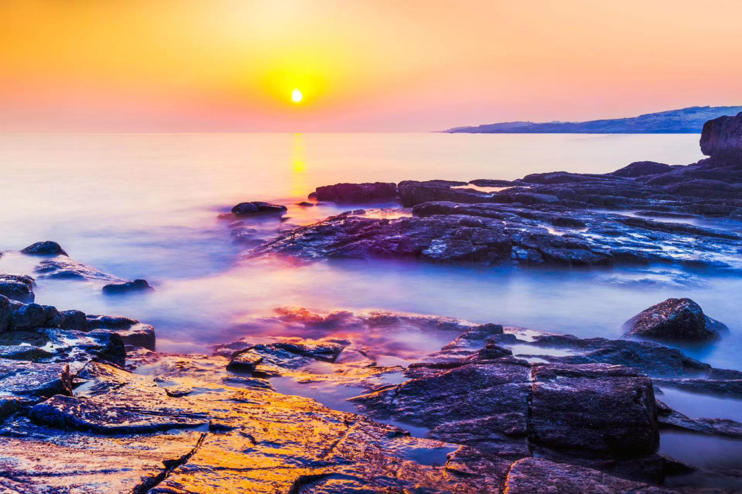 夏至 | 蝉鸣半夏，万物向阳而生