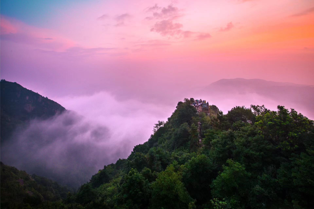 夏至 | 蝉鸣半夏，万物向阳而生