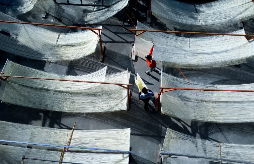 夏至 | 蝉鸣半夏，万物向阳而生