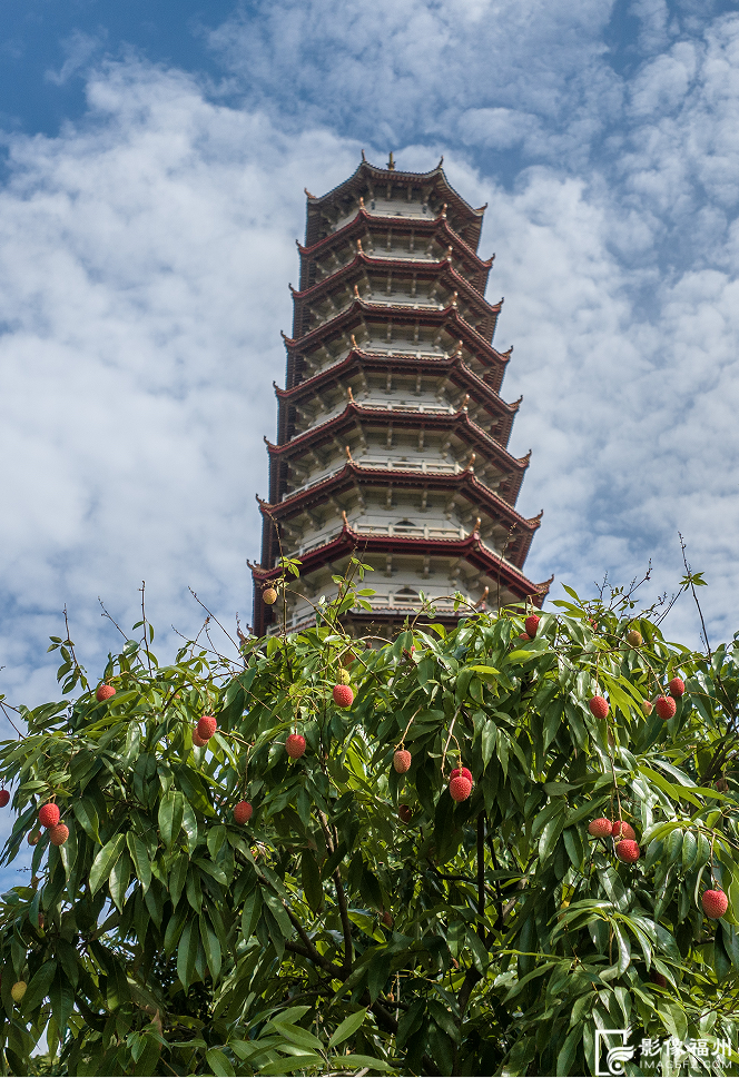 夏蝉鸣荔枝红!快来品尝这一口夏日鲜香! 夏蝉鸣荔枝红!快来品尝这一口夏日鲜香!