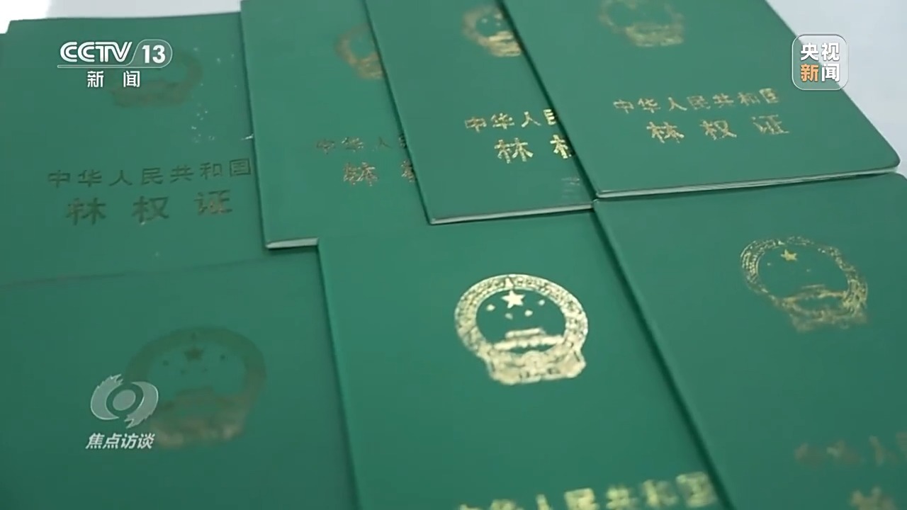 焦点访谈丨为有源头活水来