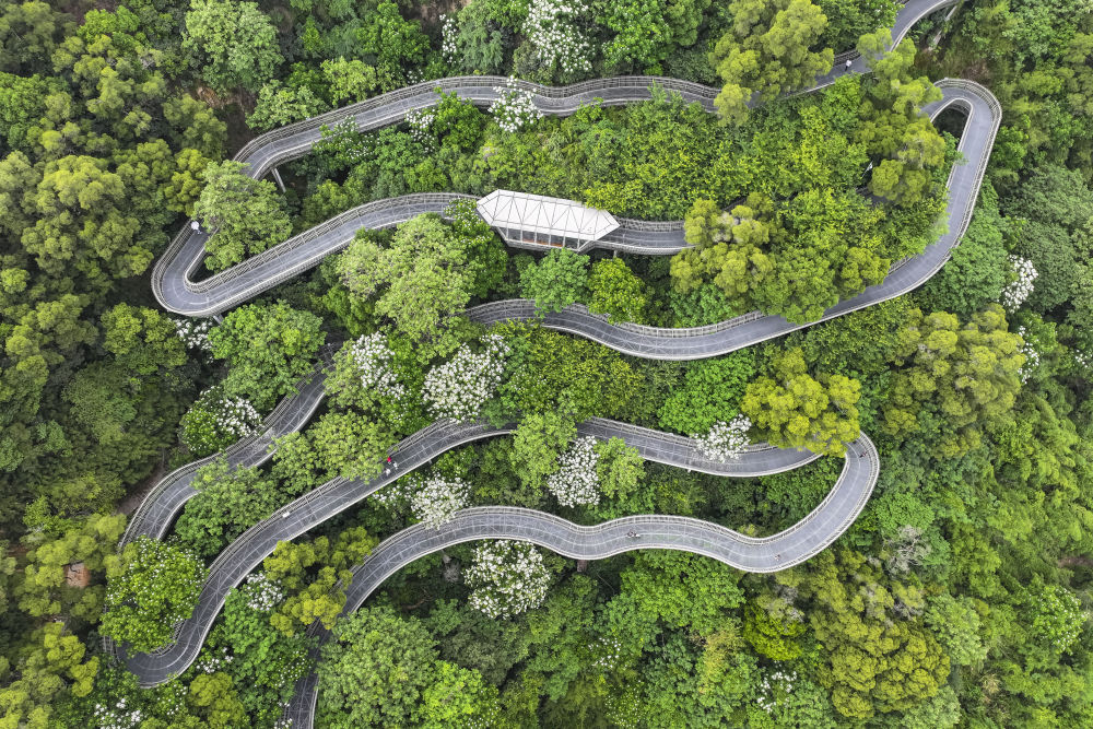 福州：绘就可持续发展的城市新篇