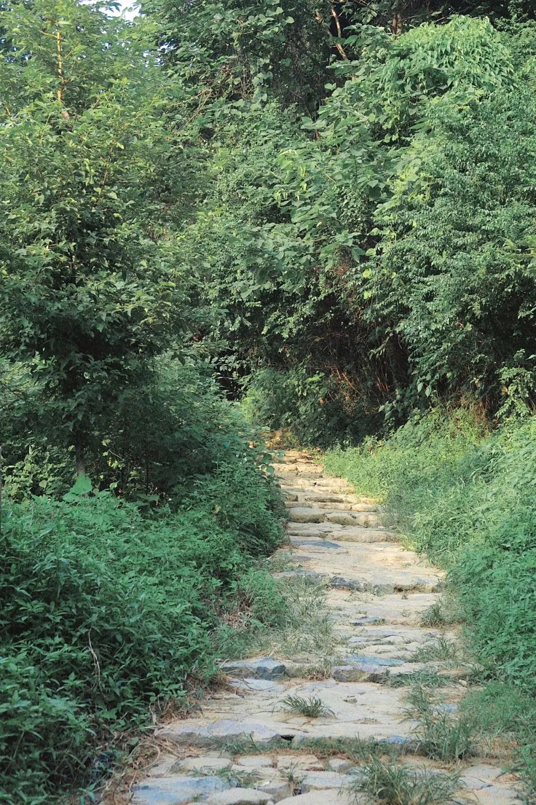 乘地铁游晋安！遇“状元”享福气！