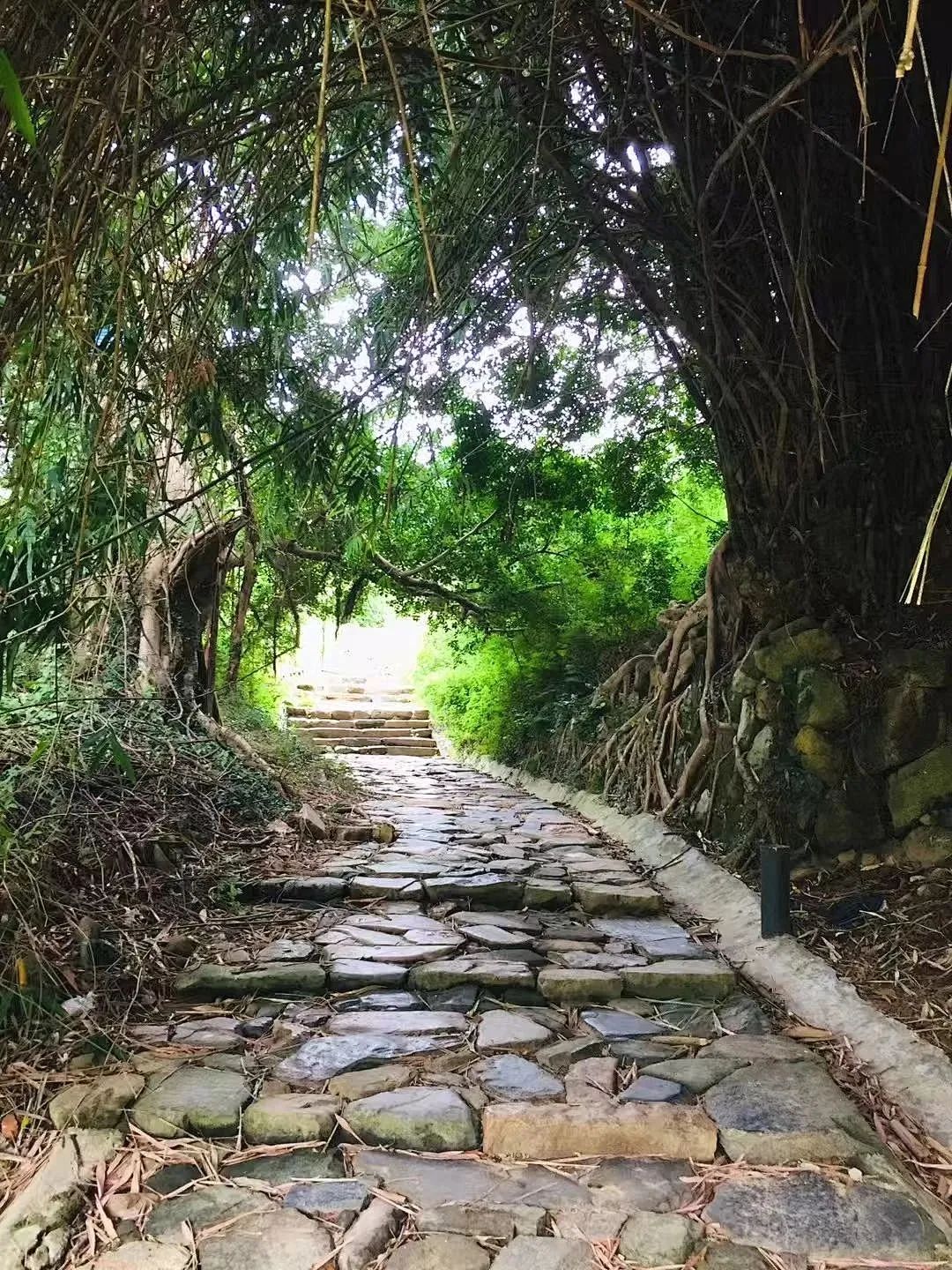 乘地铁游晋安！遇“状元”享福气！