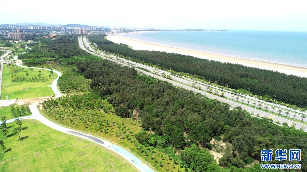 聚焦高质量发展｜福州新区十年跨越 向美向绿向质向新