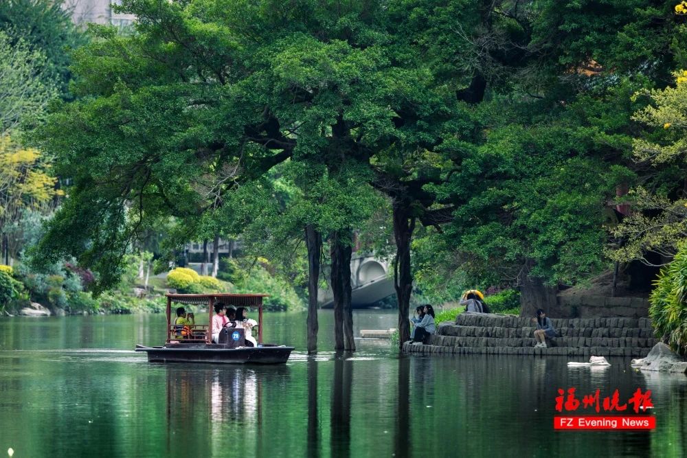 ​来福州 赏榕树