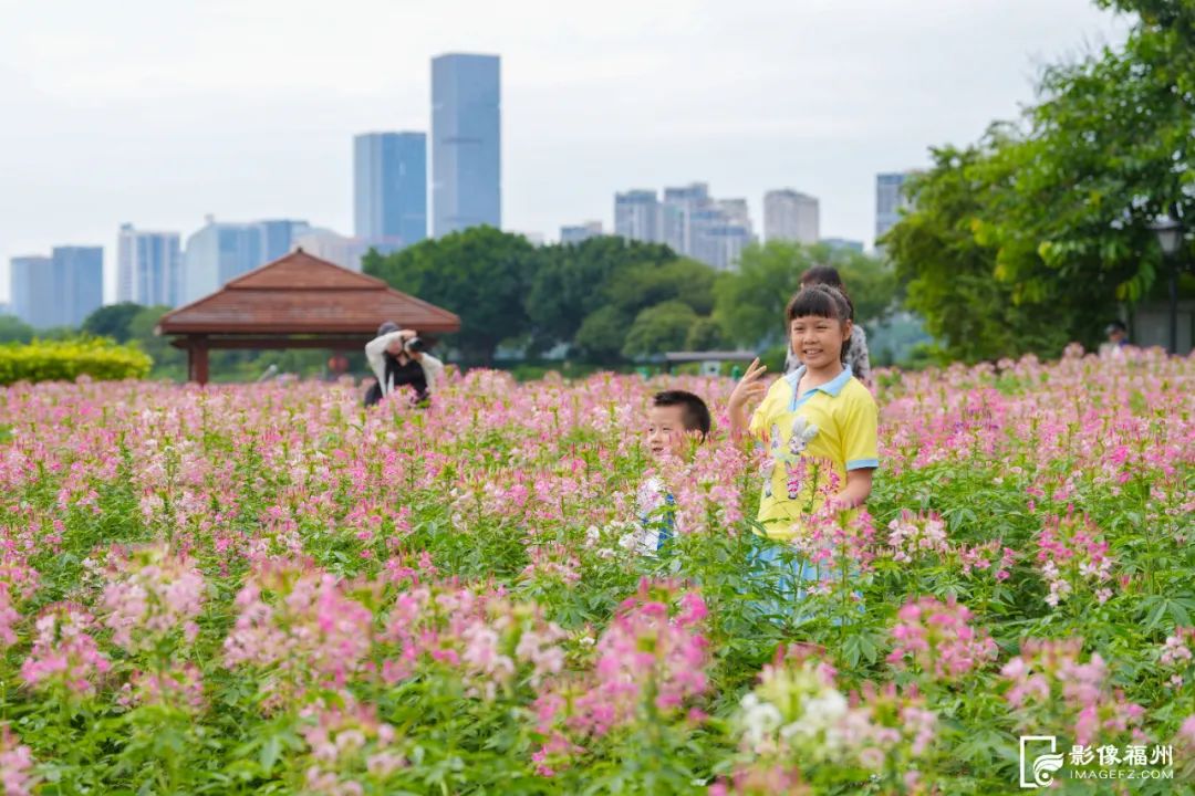 松弛感拉满！福州这里的“躺平椅”不简单！
