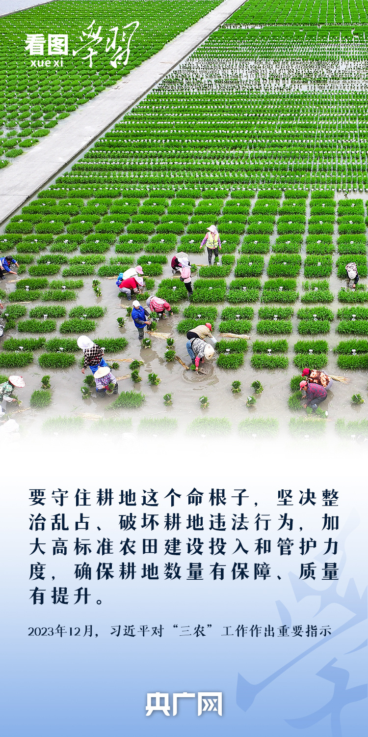 看图学习丨“守住耕地这个命根子” 总书记心系耕地保护