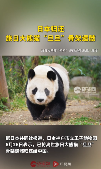 日方将大熊猫“旦旦”骨架遗骸归还中国
