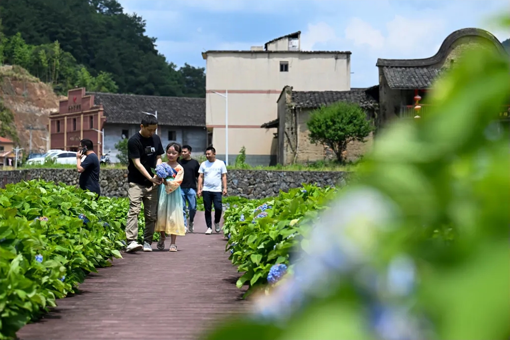 福州免费避暑旅游专线！28日发车！