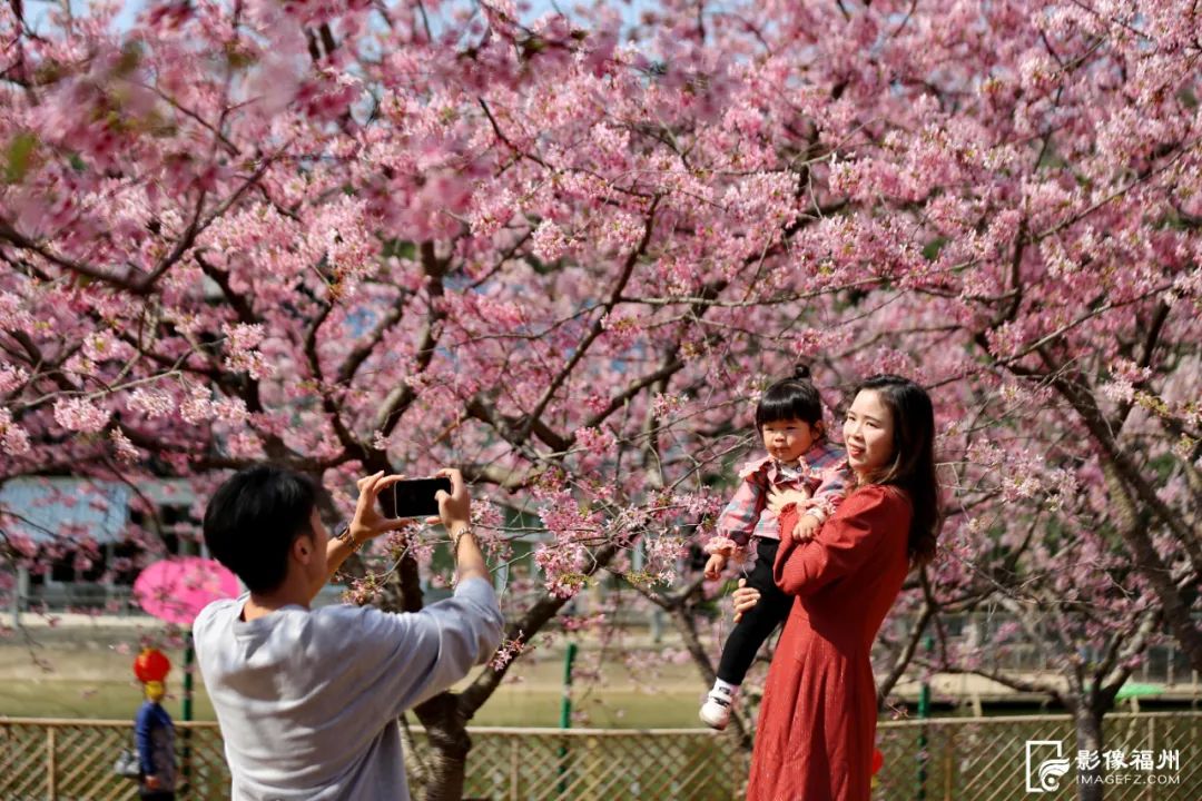 福州免费避暑旅游专线！28日发车！