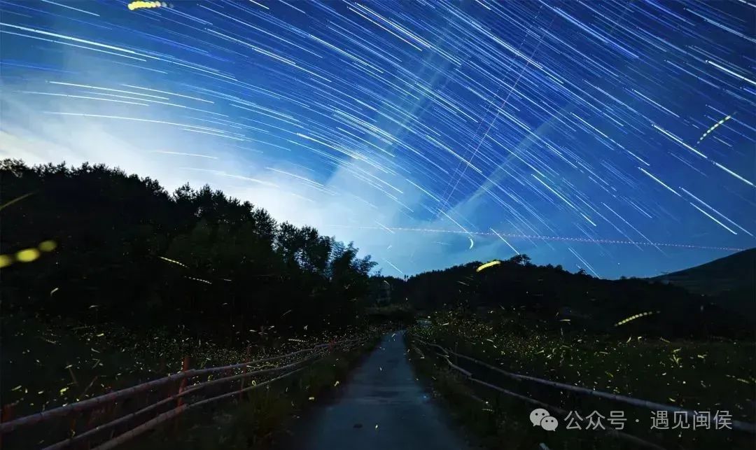太美了！福州惊现“萤火虫海”！