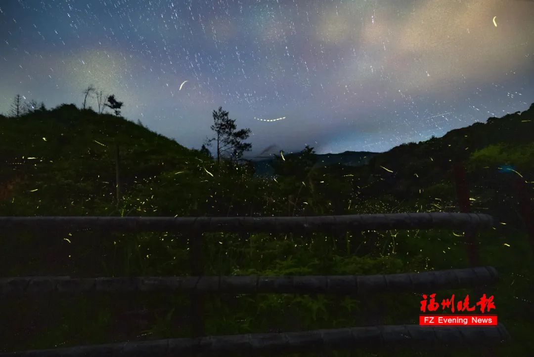 太美了！福州惊现“萤火虫海”！