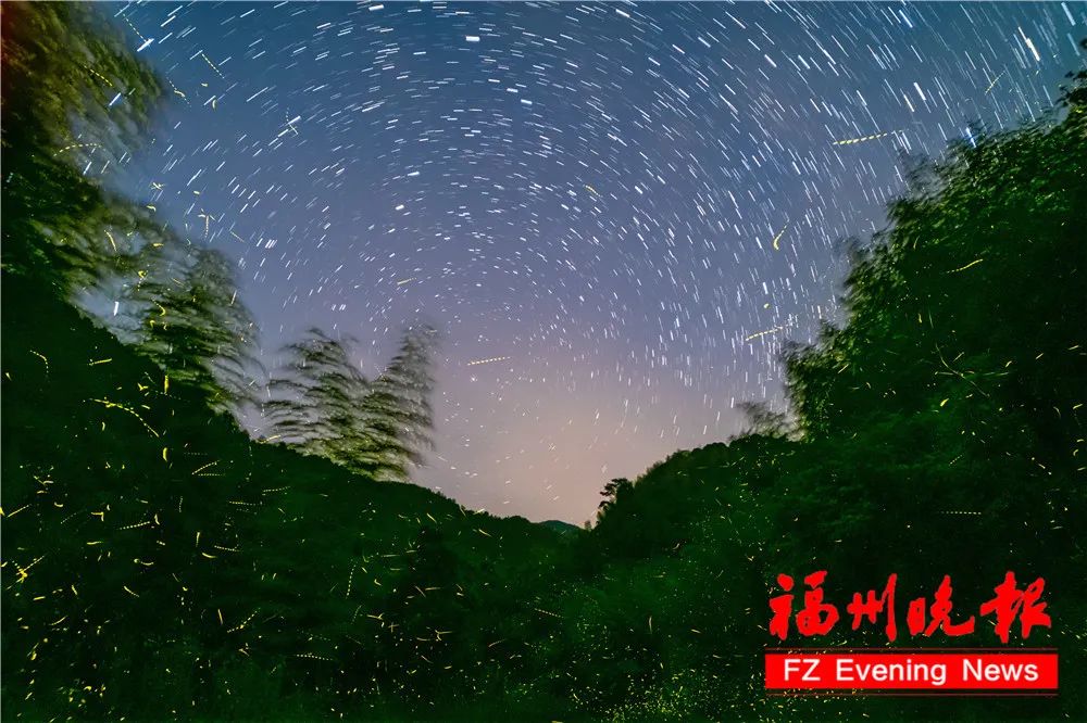 太美了！福州惊现“萤火虫海”！