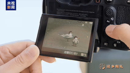 生生之流——水口水电站助力闽江绿色发展