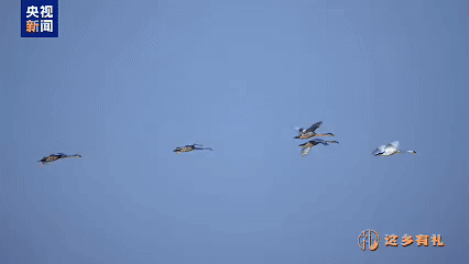 生生之流——水口水电站助力闽江绿色发展