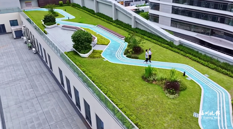 高新区这座大楼有“绿色魔法”