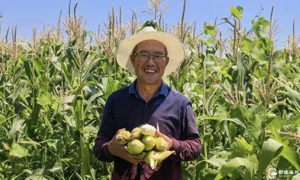 在福州，解锁盛夏“小美好”