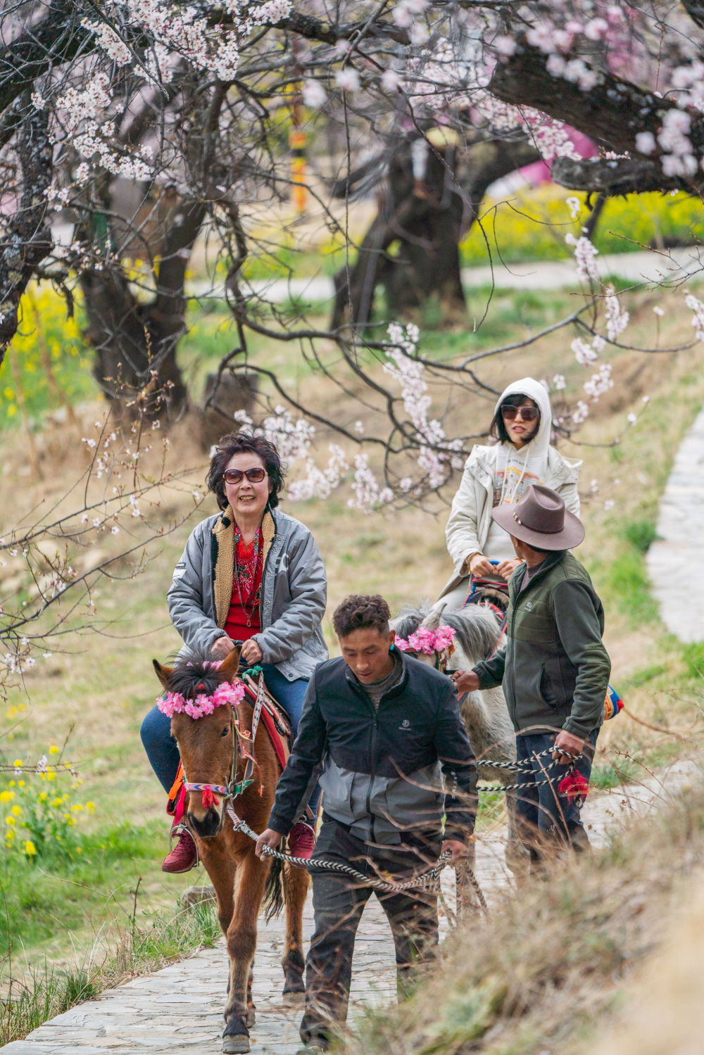 镜观·回响｜擦亮兴边富民的“桃花村”品牌