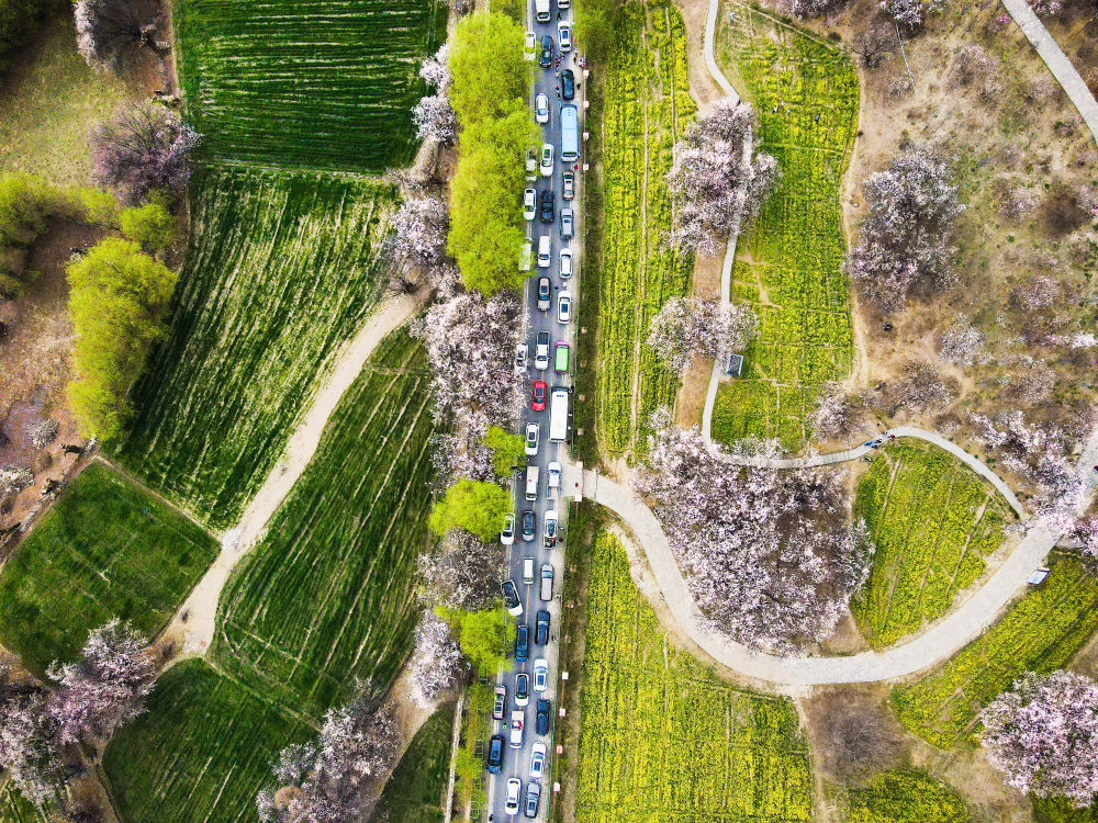 镜观·回响｜擦亮兴边富民的“桃花村”品牌