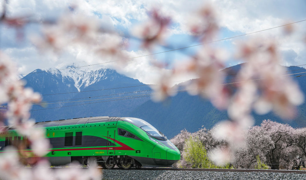 镜观·回响｜擦亮兴边富民的“桃花村”品牌