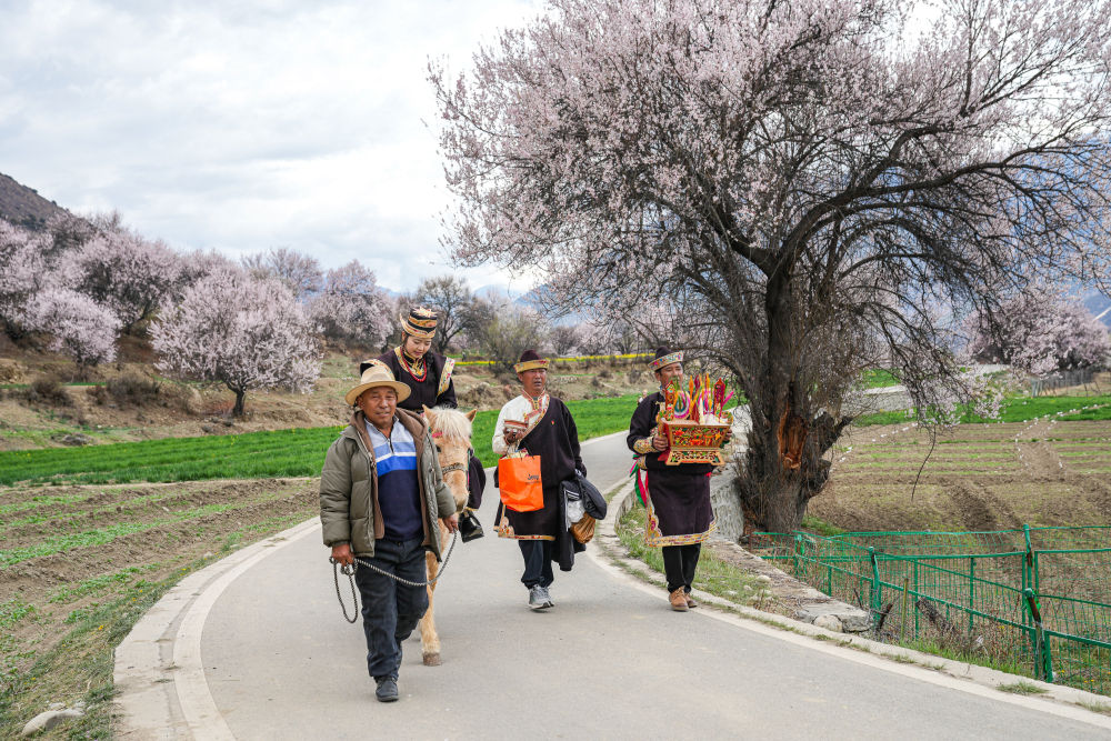 镜观·回响｜擦亮兴边富民的“桃花村”品牌