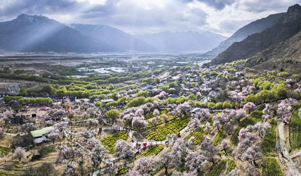 镜观·回响｜擦亮兴边富民的“桃花村”品牌