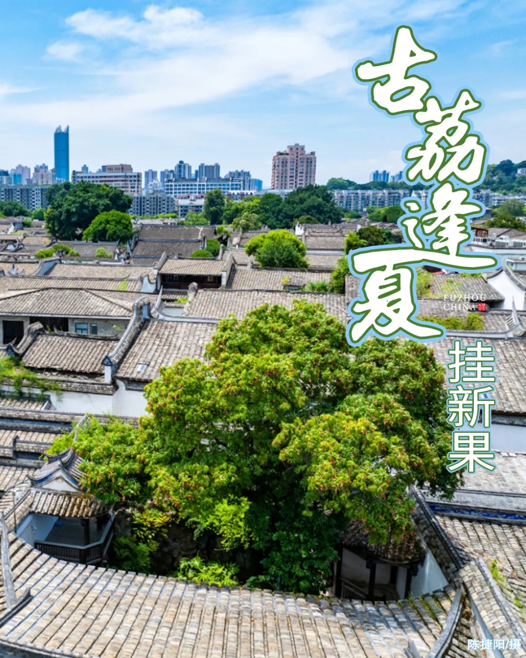 福州人的夏天，从荔枝自由开始