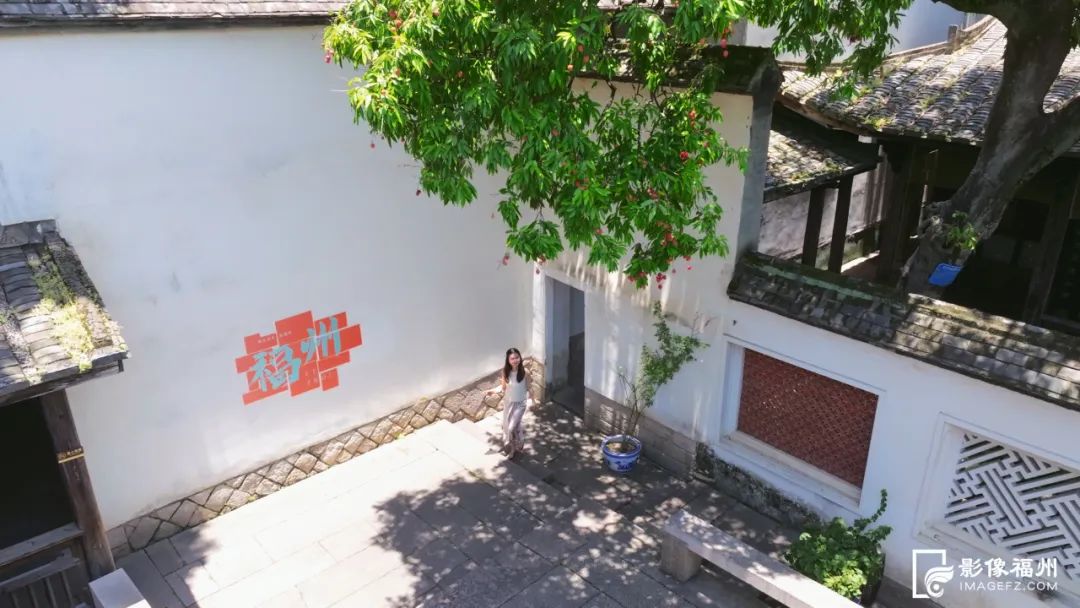 福州人的夏天，从荔枝自由开始