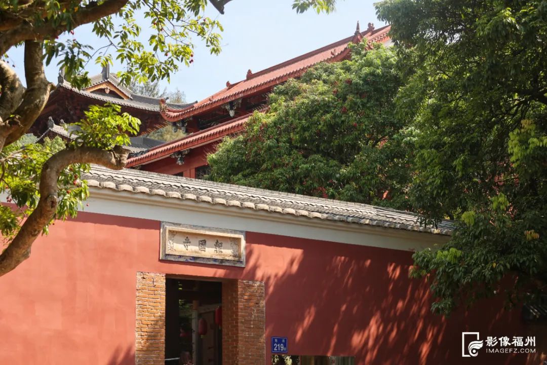 福州人的夏天，从荔枝自由开始