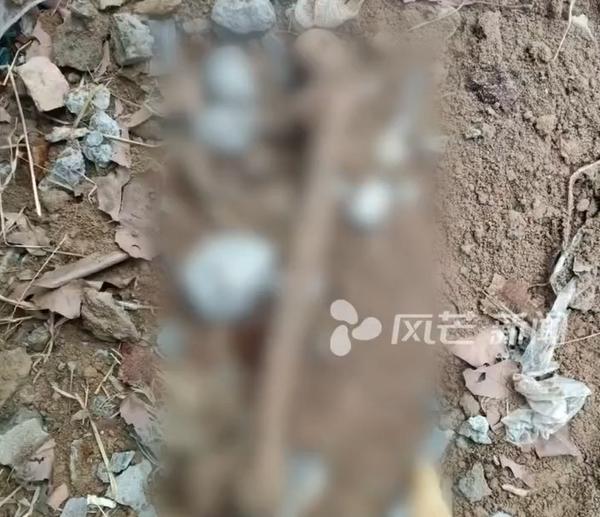 新房地下挖出尸骨 住建局介入协调