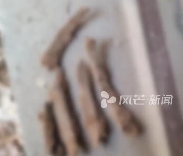 新房地下挖出尸骨 住建局介入协调