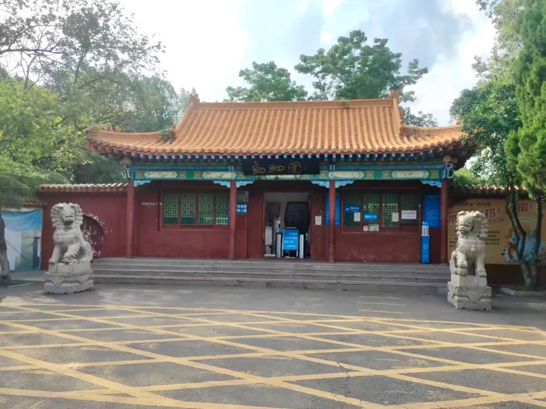 动物园被举报个人码收门票费上千万 多方回应