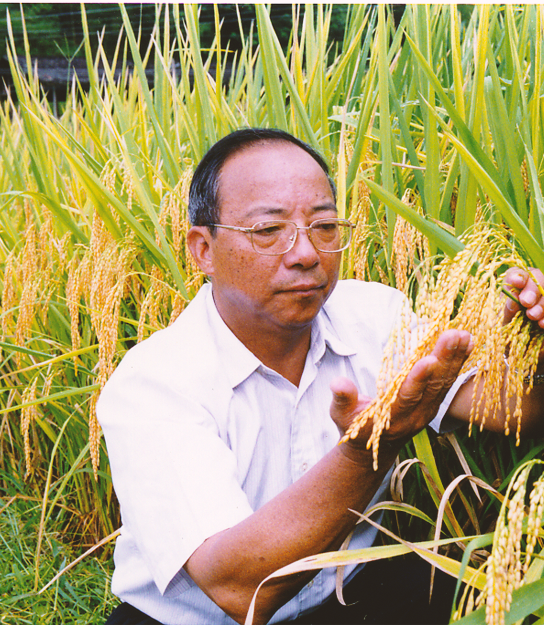 你，为什么要成为一名共产党员？