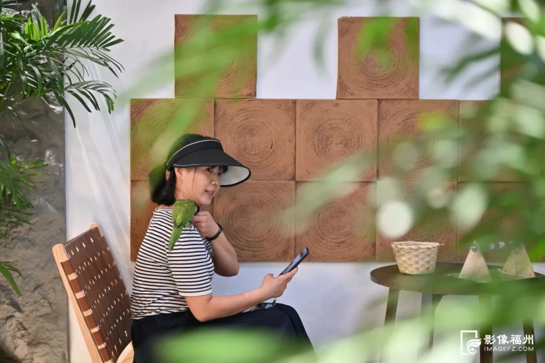 超治愈！福州年轻人的新宠！