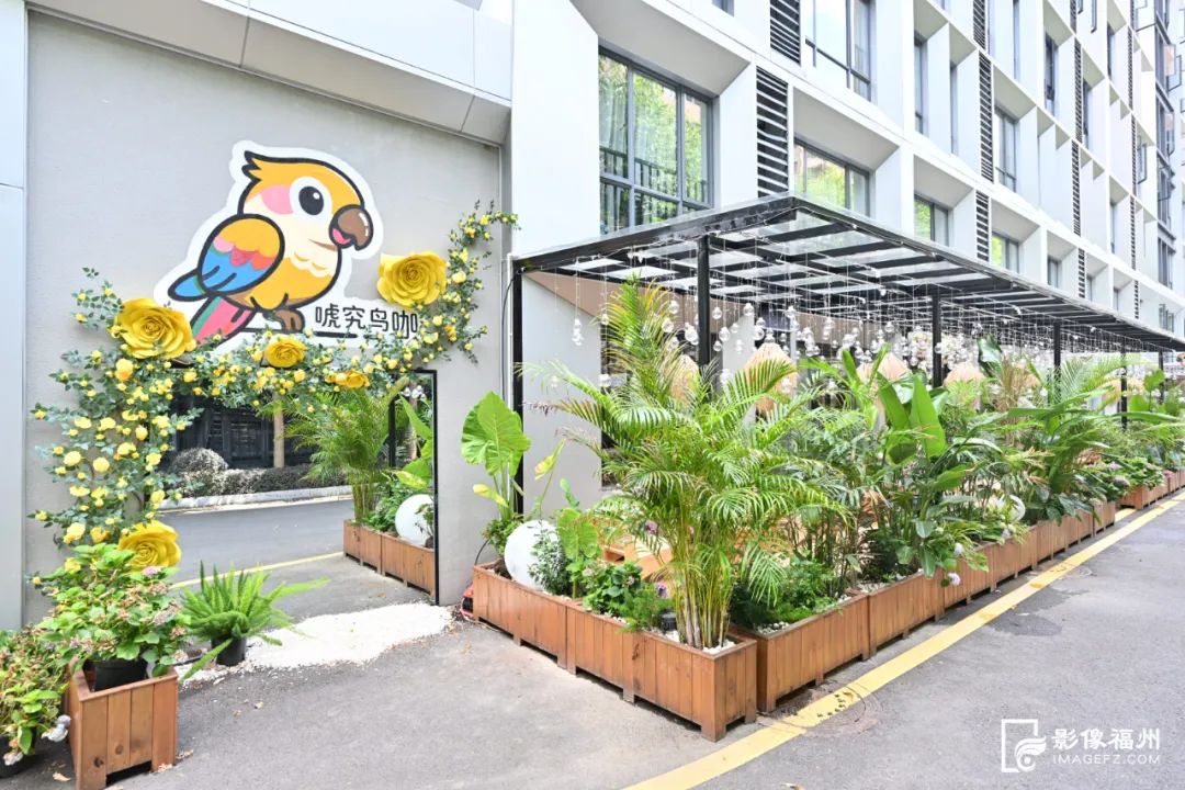 超治愈！福州年轻人的新宠！