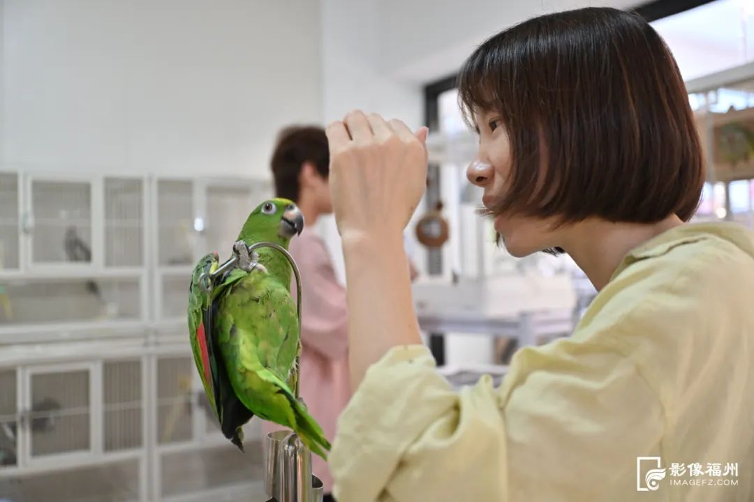 超治愈！福州年轻人的新宠！