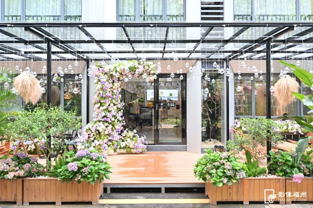 超治愈！福州年轻人的新宠！