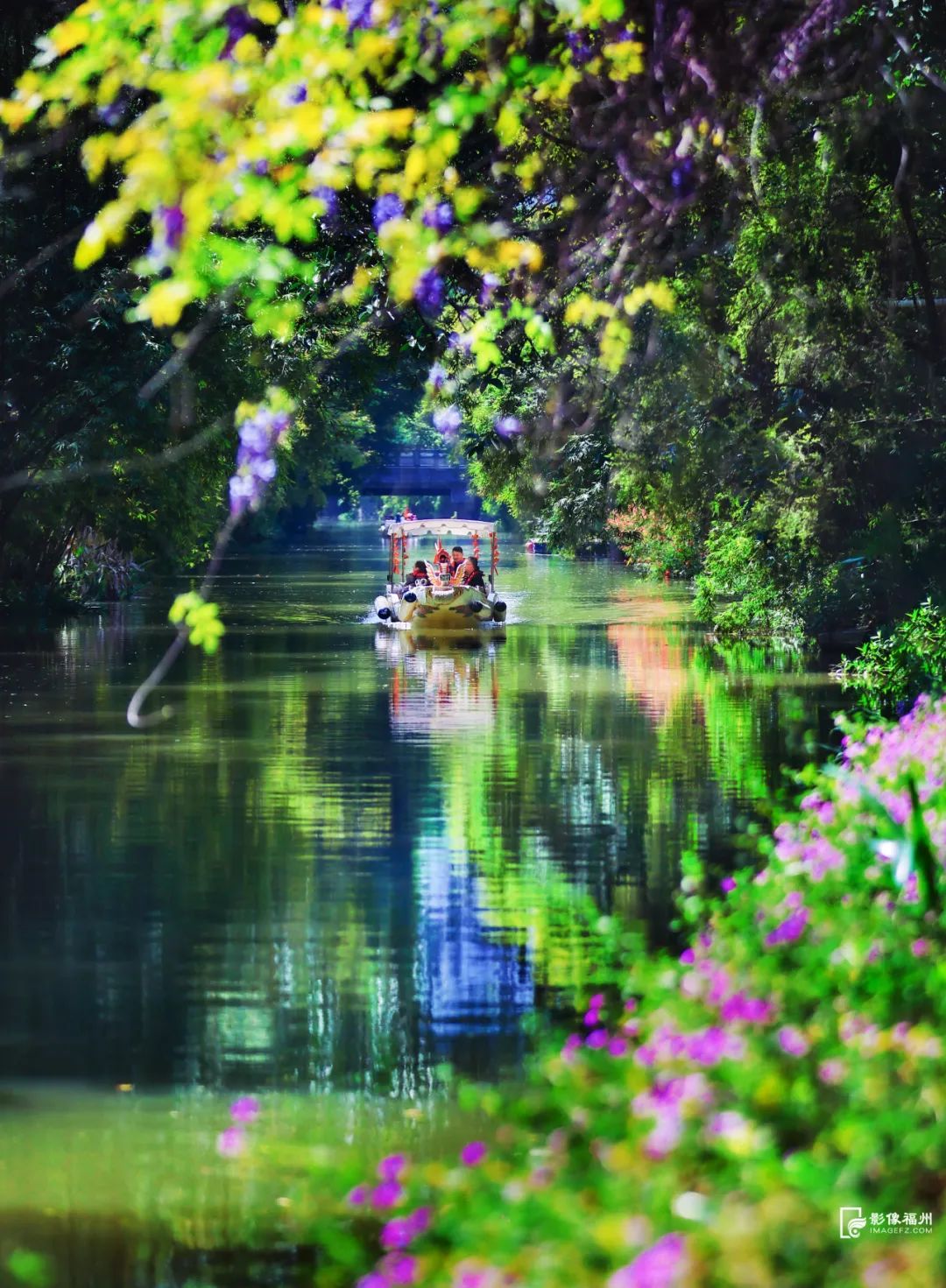 最高奖励2000元！福州公开征集