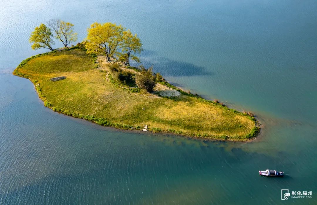 最高奖励2000元！福州公开征集