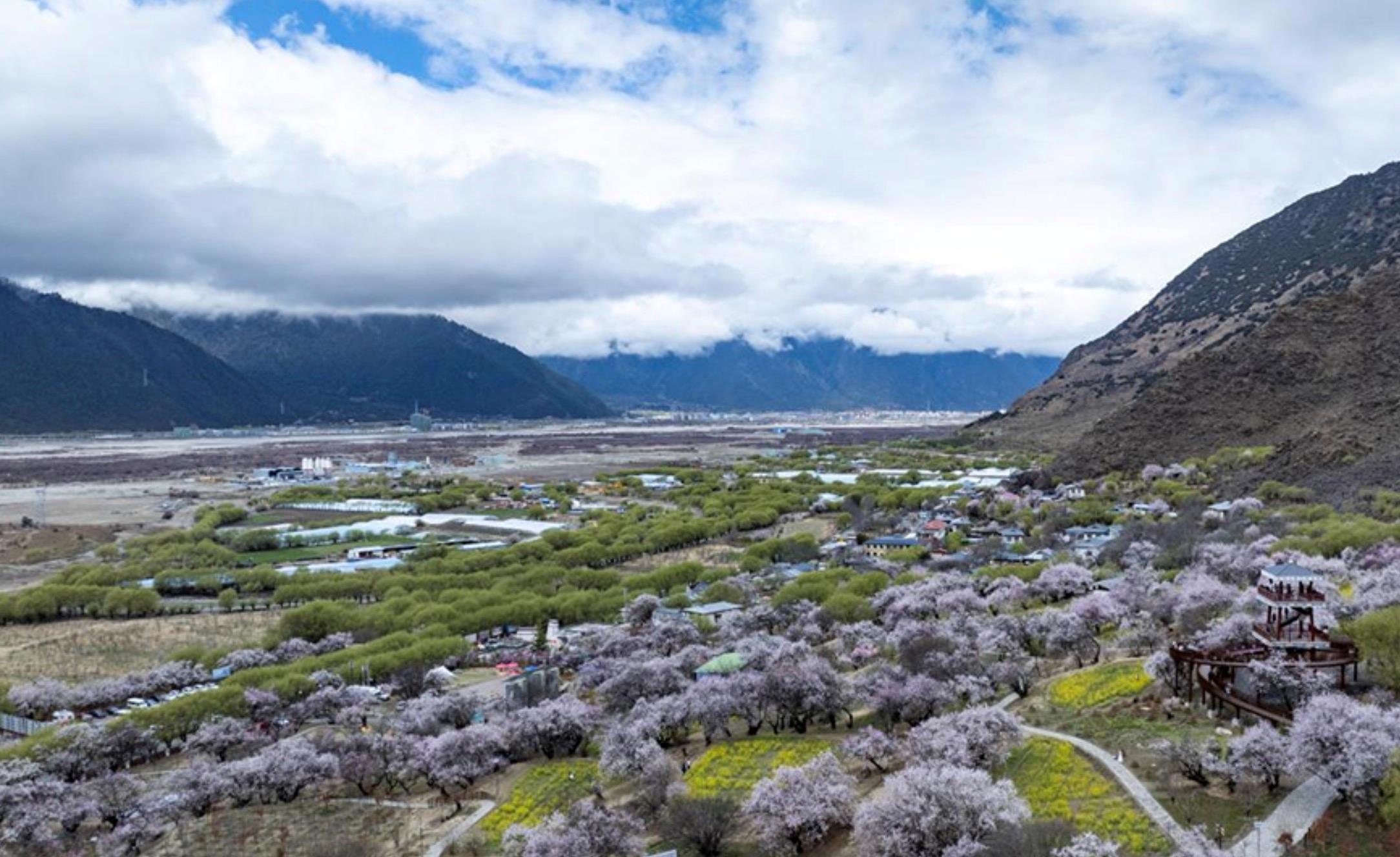 时政微观察丨砥柱中流 风华正茂