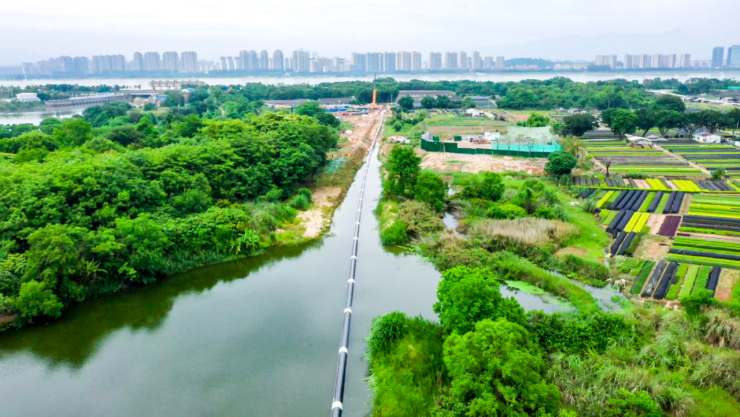 同质同源！福州高新区这个镇的居民笑了！