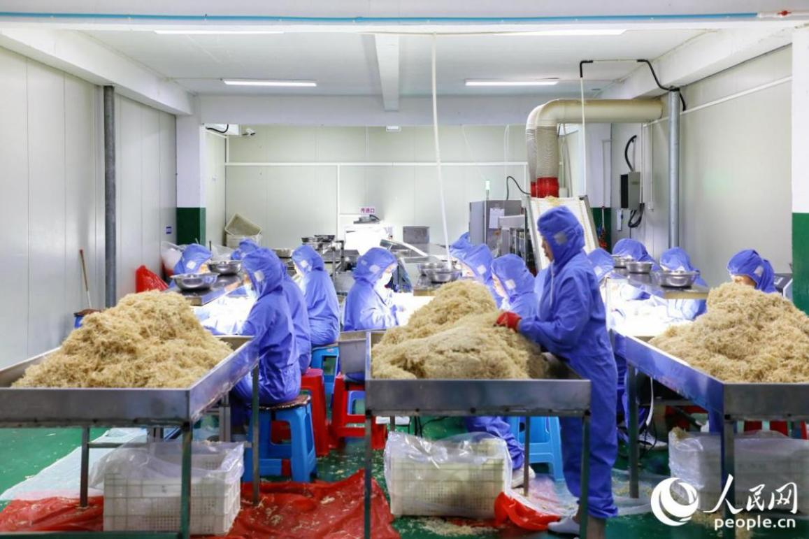 人民网关注永泰洋中村：“空心村”“薄弱村”的破局密码